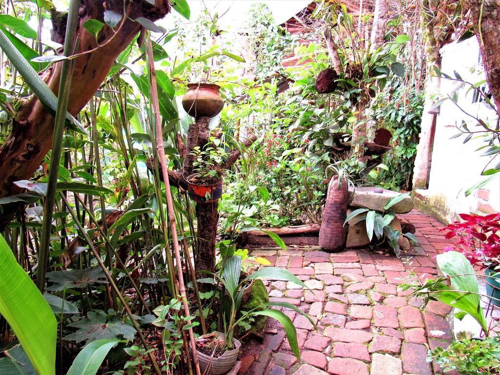 Hotel Casa Tarzan San Agustín Exterior foto